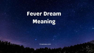 Fever Dream Meaning