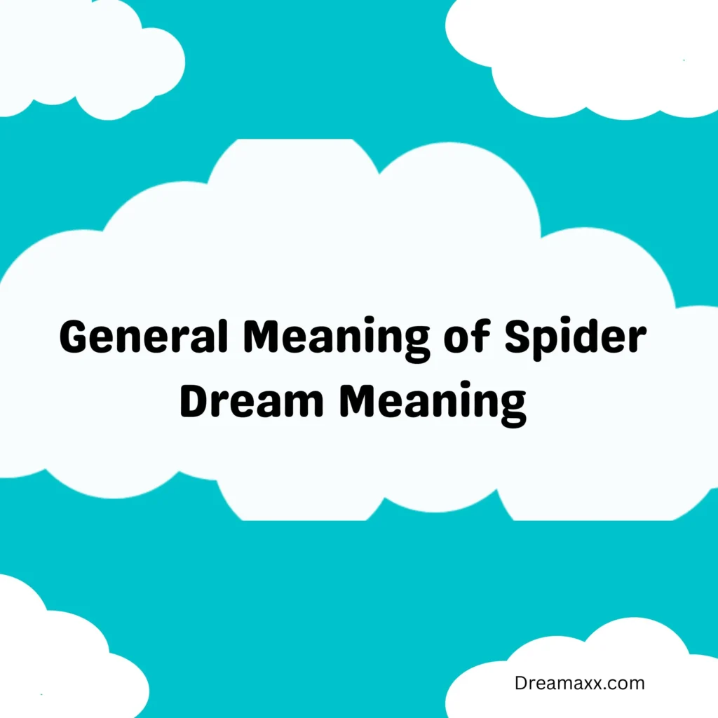 General Meaning of Spider Dream Meaning