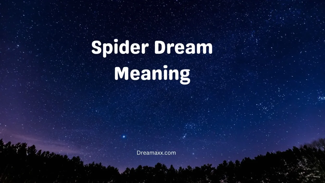 Spider Dream Meaning