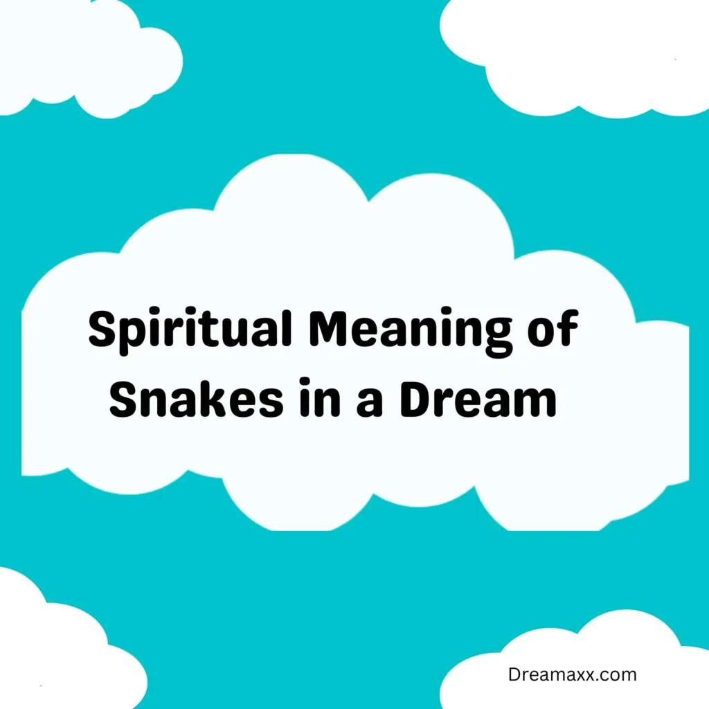 Spiritual Meaning of Snakes in a Dream