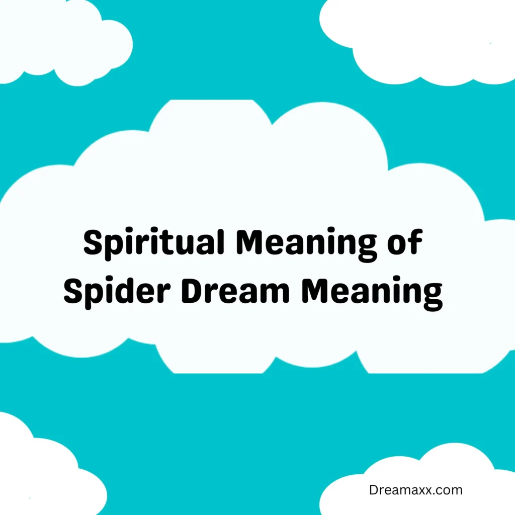 Spiritual Meaning of Spider Dream Meaning
