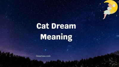 Cat Dream Meaning