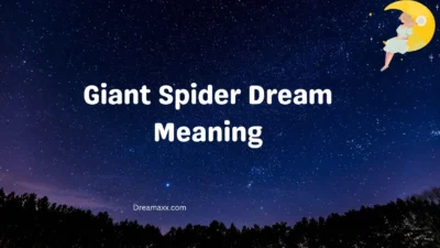 Giant Spider Dream Meaning